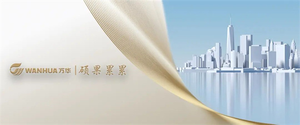榮耀時(shí)刻！萬華節(jié)能科技煙臺(tái)公司榮獲“中國聚氨酯制品行業(yè)十強(qiáng)企業(yè)”稱謂（墻裂推薦）