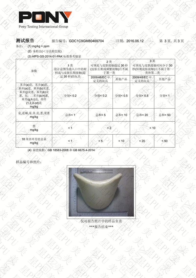 檢測報告